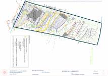 Pauline DE NARDI - DE NARDI PAULINE